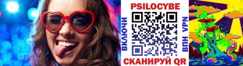Псилоцибиновые грибы Psilocybe  закладки  Краснотурьинск 