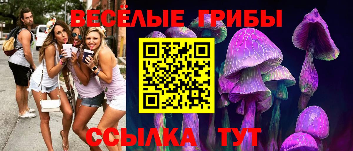 Краснотурьинск  Псилоцибиновые грибы прущие грибы  Вход с VPN  купить наркотик  Псилоцибиновые грибы мицелий 