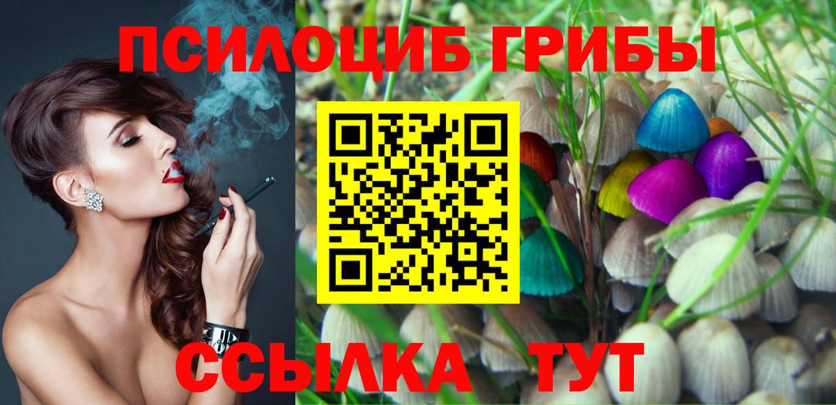 Псилоцибиновые грибы прущие грибы Краснотурьинск